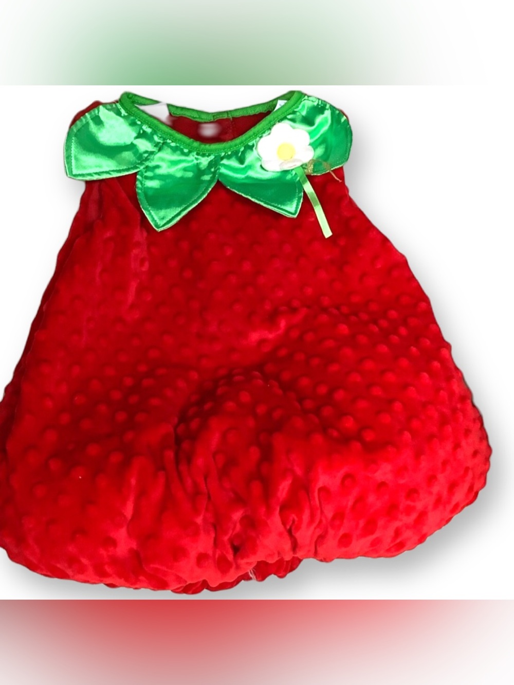 Fun Of A Kind 24 Month Strawberry Costume for Halloween or Dress Up